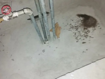 龙里卫生间测漏水价格明细