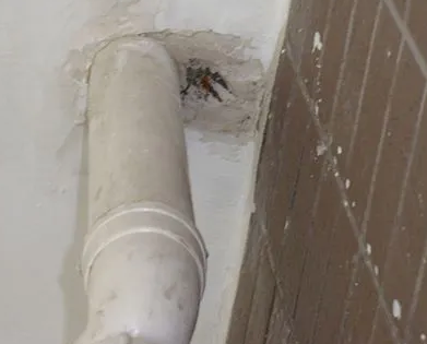 龙里漏水检测哪家好